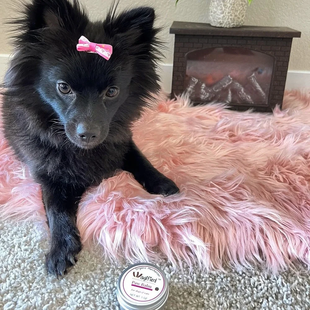 Organic paw balm moisturizer for dogs and cats